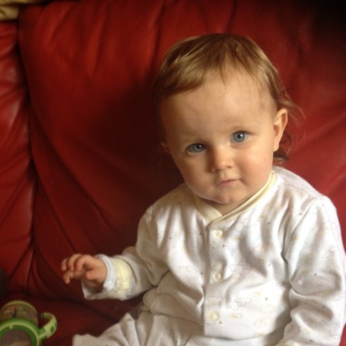 doylee12's profile picture. Berkshire, Mayo, land of nod.