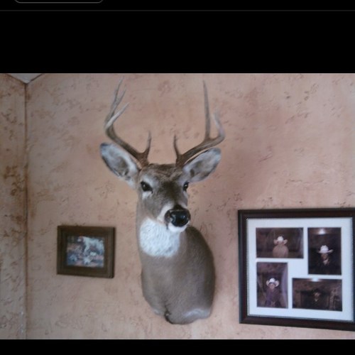 Laura148829's profile picture. 