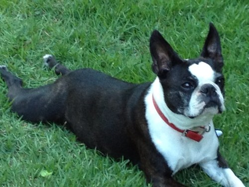 3kpryor's profile picture. 