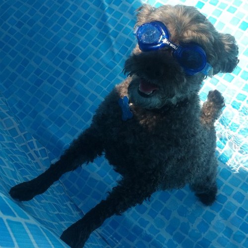 kdzw's profile picture. 