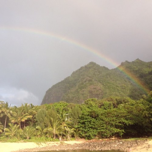 maxdweiss's profile picture. 