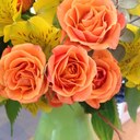 Heather Woodring - @HeatherWoodring - Twitter