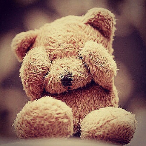 Follow » @itsmesw @uciibear | When I fall, I fall hard. And when I say I love you, I mean it.