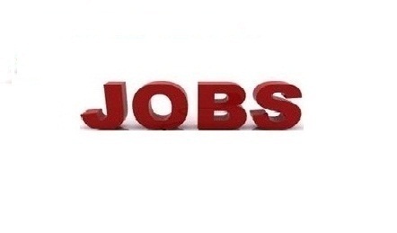 Consultancy Provides quality services in offering Staffing solutions have helped us in carving an esteemed position in this industry with in a short span of tim