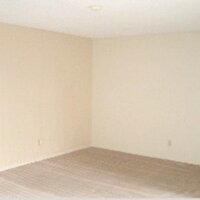 tyler harding (@tylerrharding) 's Twitter Profile