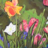 Kwiltabeest's profile image