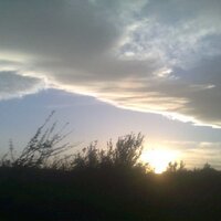 Ioanna Tiniakou (@itiniakou) 's Twitter Profile