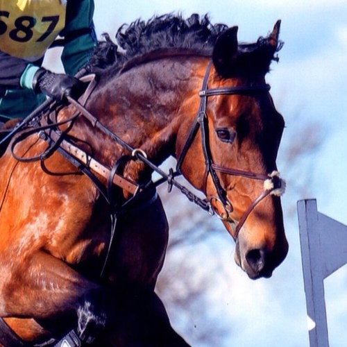 cooksonscharlie's profile picture. 