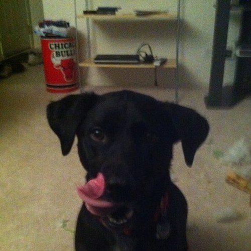 dorrough24's profile picture. 