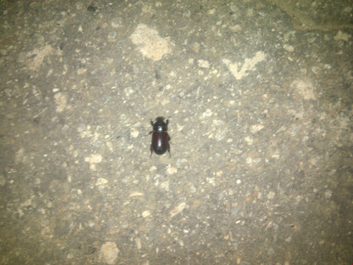 Ijaya1's profile picture. Alone in my world...Official twitter account of Mr.Omobolaji Yusuf, the Former counillor (Ward A) of Alimosho LGA Lagos State.2017-2025