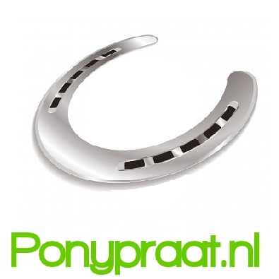 Ponypraat.nl  voor iedereen die van paarden en pony's houdt! De leukste blogs en bijzondere webshops voor paarden en pony's!