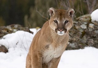 gataki12's profile picture. 