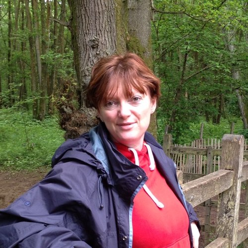 SamDennis0's profile picture. Deputy DDE Southwell and Nottingham Diocese
Chair of Trustees Willows Academy Trust