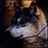 amzher402o's profile image