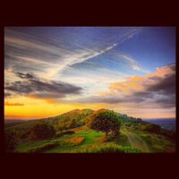 Neil (@bird5ter) 's Twitter Profile