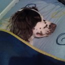 andy holdsworth - @ambulance163 - Twitter