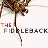 The Fiddleback (@thefiddleback) 's Twitter Profile
