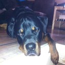 Tina Gebhardt - @dat_tina - Twitter