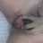 Miss_Vagina30's profile image