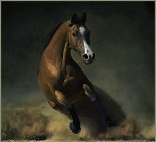 alhelalfm's profile picture. والله لو انت شوك سدره كليتك