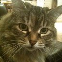 Patricia Kaefer - @ladybugkaefer - Twitter