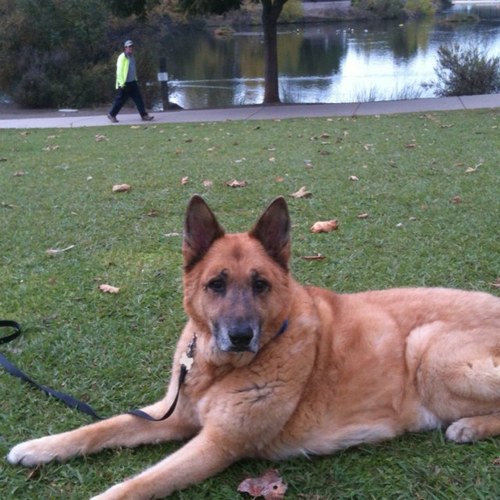 DAnderone20's profile picture. Opinions and thoughts are all mine.