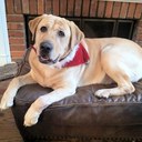 Ginger Hicks - @GingerEHicks - Twitter