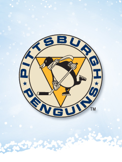 Pittsburgh Penguin lover !