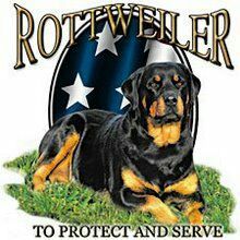 WaltRubin's profile picture. 