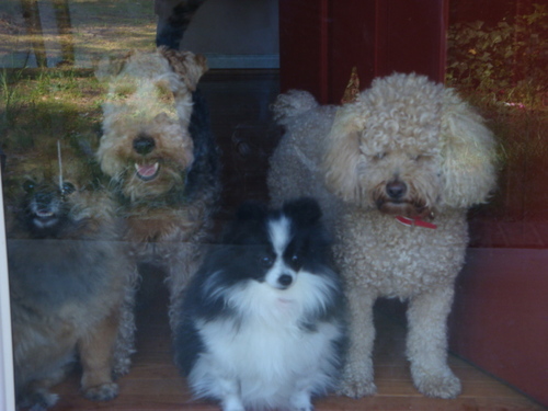 VidaPuryear1's profile picture. 