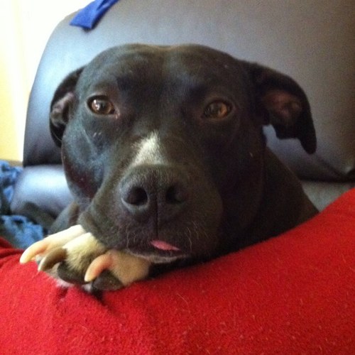 juliecrushing's profile picture. 