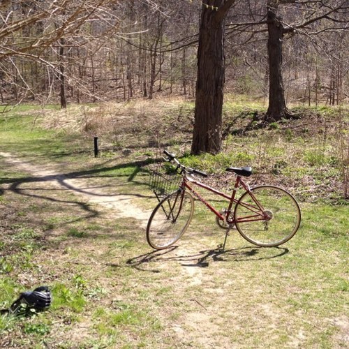 andreajane7's profile picture. 