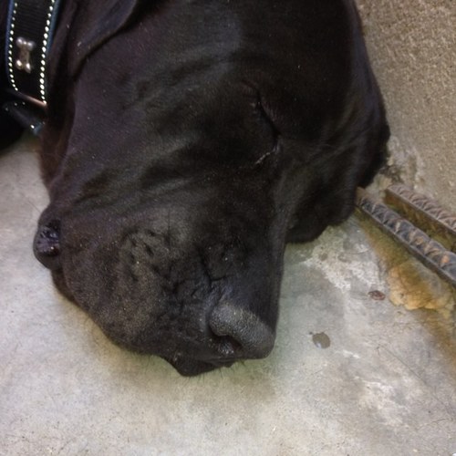 quiteriojjj's profile picture. 