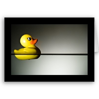 simpleduckmedia's profile picture. Digital Positioning Expert