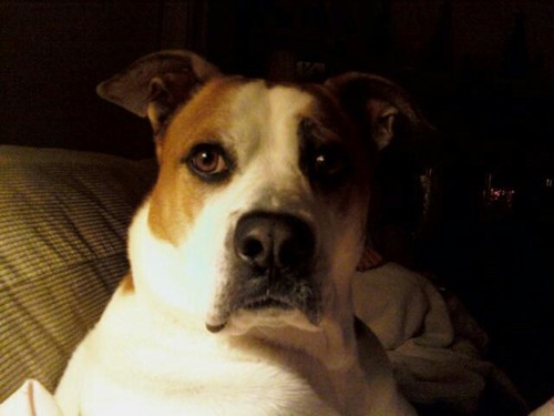 Cmedrive55's profile picture. 