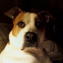 Craig Driver - @Cmedrive55 - Twitter