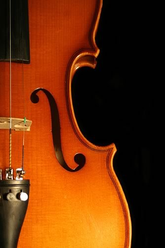 fusioncore's profile picture. 