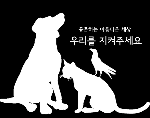 하나님/예수사랑/강아지사랑/동물보호/유치원쌤/뮤직홀릭/아디다스 메니아/해주세요 중독자/운동화 수집/야생동물 보호/그린피스/미술전공/뱅앤올룹슨 중독자/