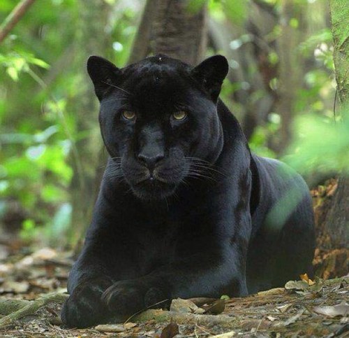 BIGKEV90's profile picture. 