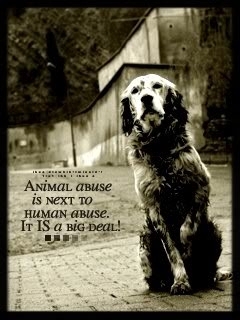 Bridging the gap between #Animal welfare and #Human services to end #Abuse and raise awareness of  the #Link between them.   Tweets by @ellenmckendree No DM's