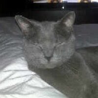 Muggsy (@therealmuggsy) 's Twitter Profile