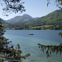 fuschlseeregion (@fuschlseeregion) 's Twitter Profile