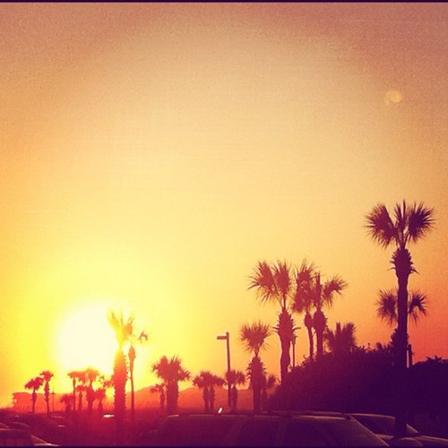 beachbum217's profile picture. 