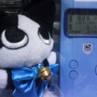 かんふーpanda(危険厨の野良猫)→a loose cat or loose cannon (@kanfuupanda) 's Twitter Profile