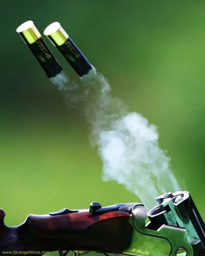 Topshot100's profile picture. Full Time, Professional Shooting Instructor. 
Self Confessed Addict of Shooting.