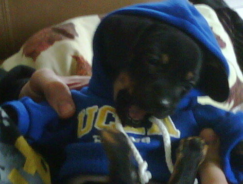 iamleap's profile picture. Click-clack, pow!