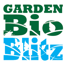 An exciting survey of the UK's gardens that everyone can take part in, whether you're young or old, expert or beginner. 3rd-4th June 2017 #gbb17
