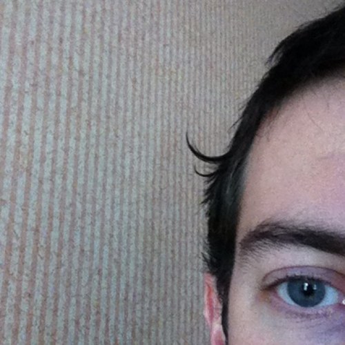 niallkeely's profile picture. 