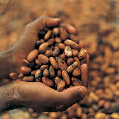 Cocoa for all it's worth...
Cocoa futures trader