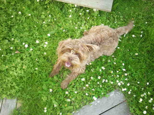 Cam_Mer's profile picture. 